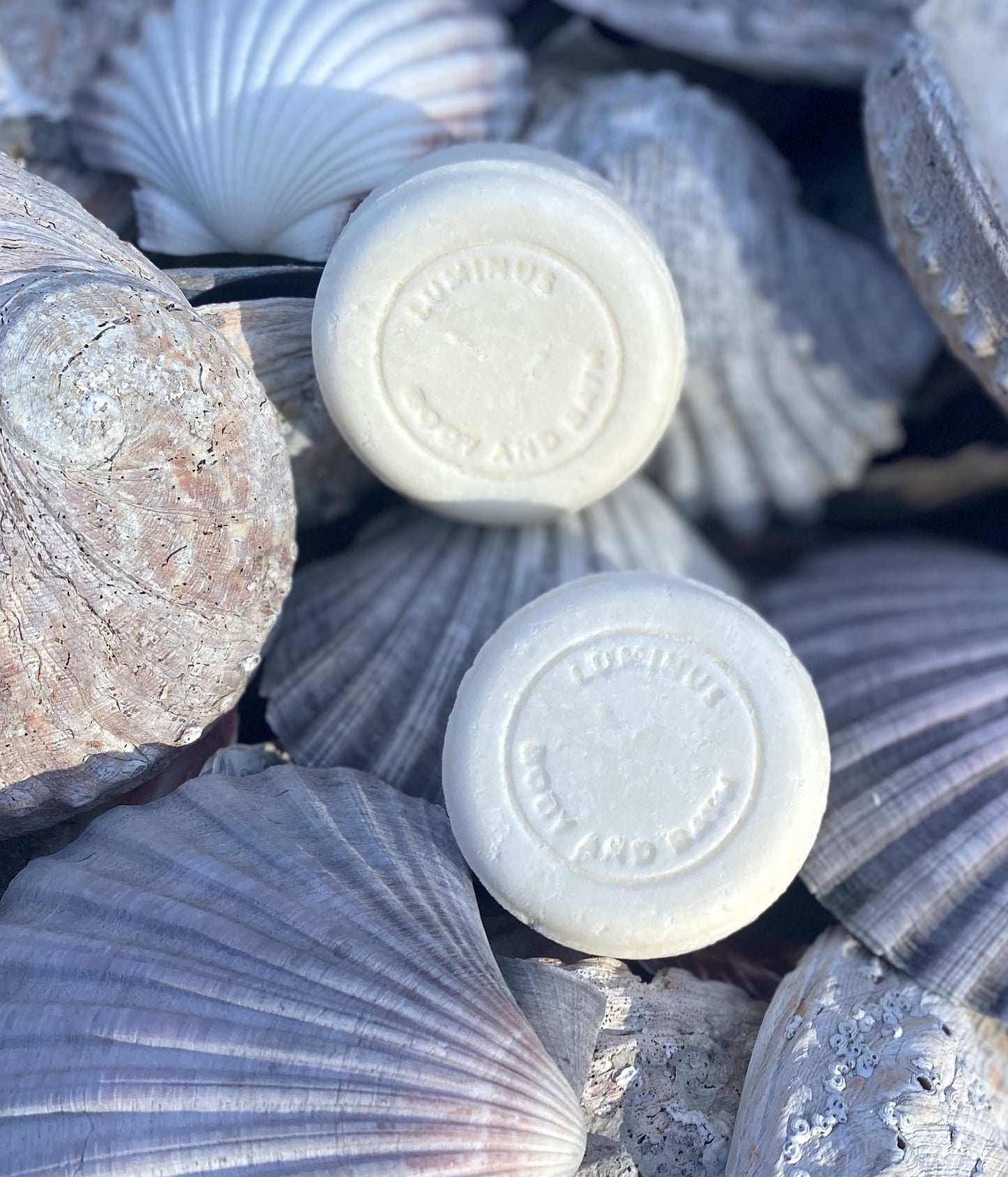 Elevate - Volume Shampoo