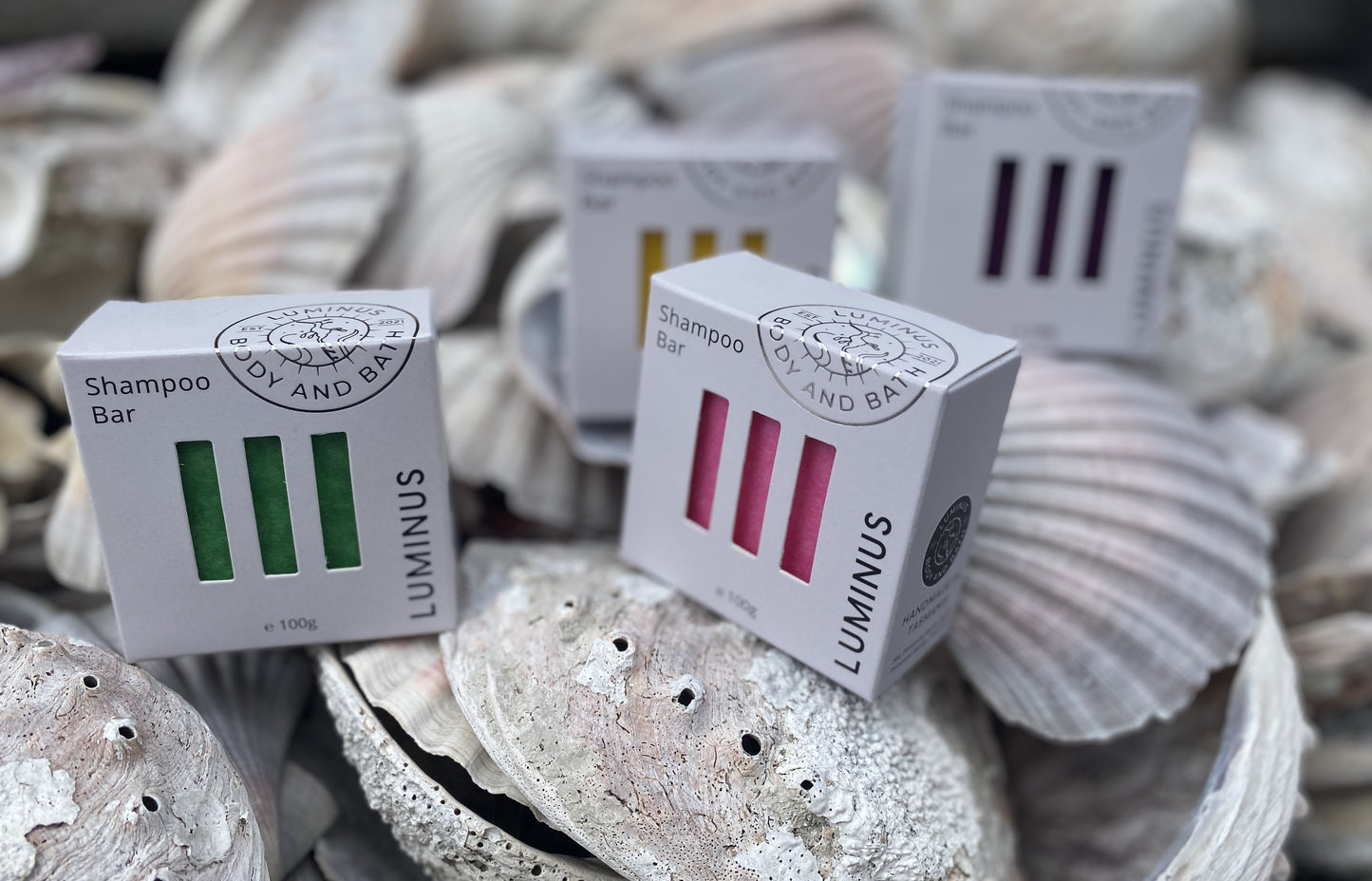 Front view of Shampoo Bar boxes