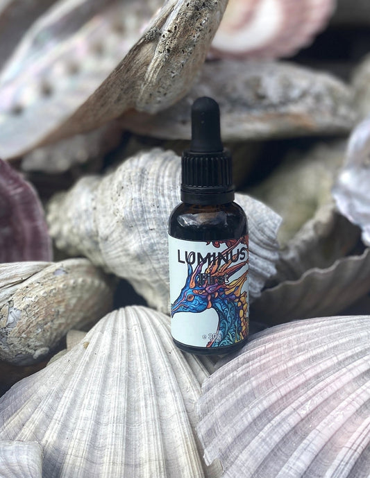 A beautifully packaged bottle of First amongst the shells