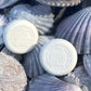 Two white shampoo bars with branding on a background of seashells.
