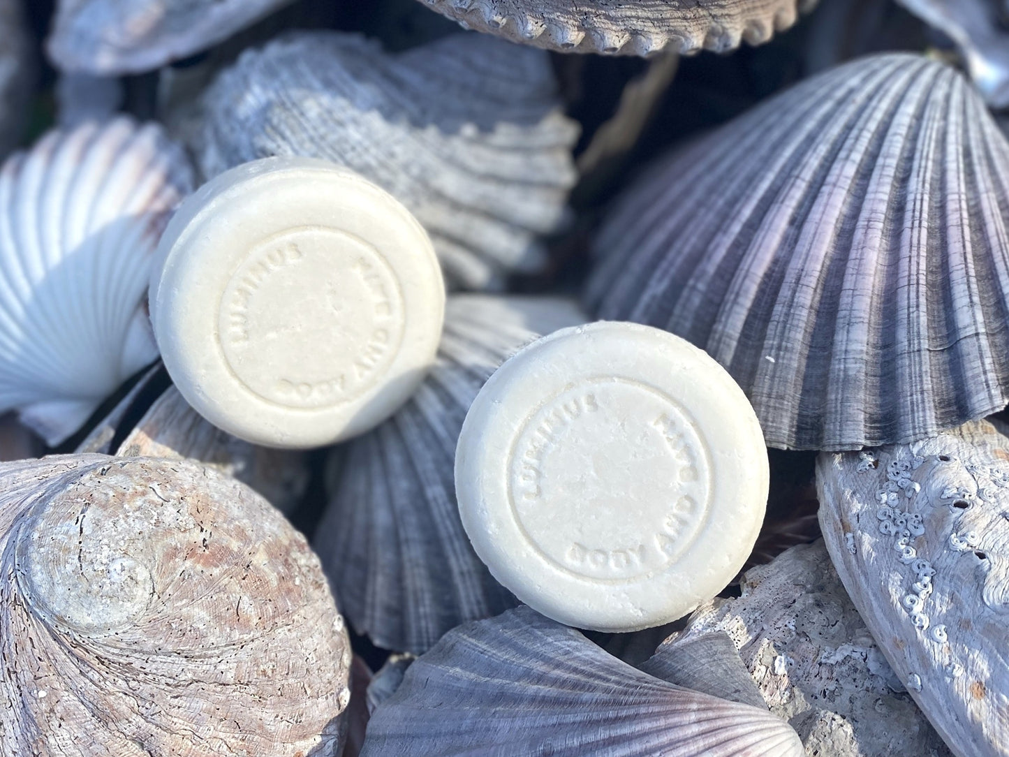 Two white shampoo bars with branding on a background of seashells.