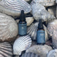 Two amber glass dropper bottles labeled LUMINUS South, placed among stacked natural seashells. The bottles have dark blue-gray labels with white text and black droppers.