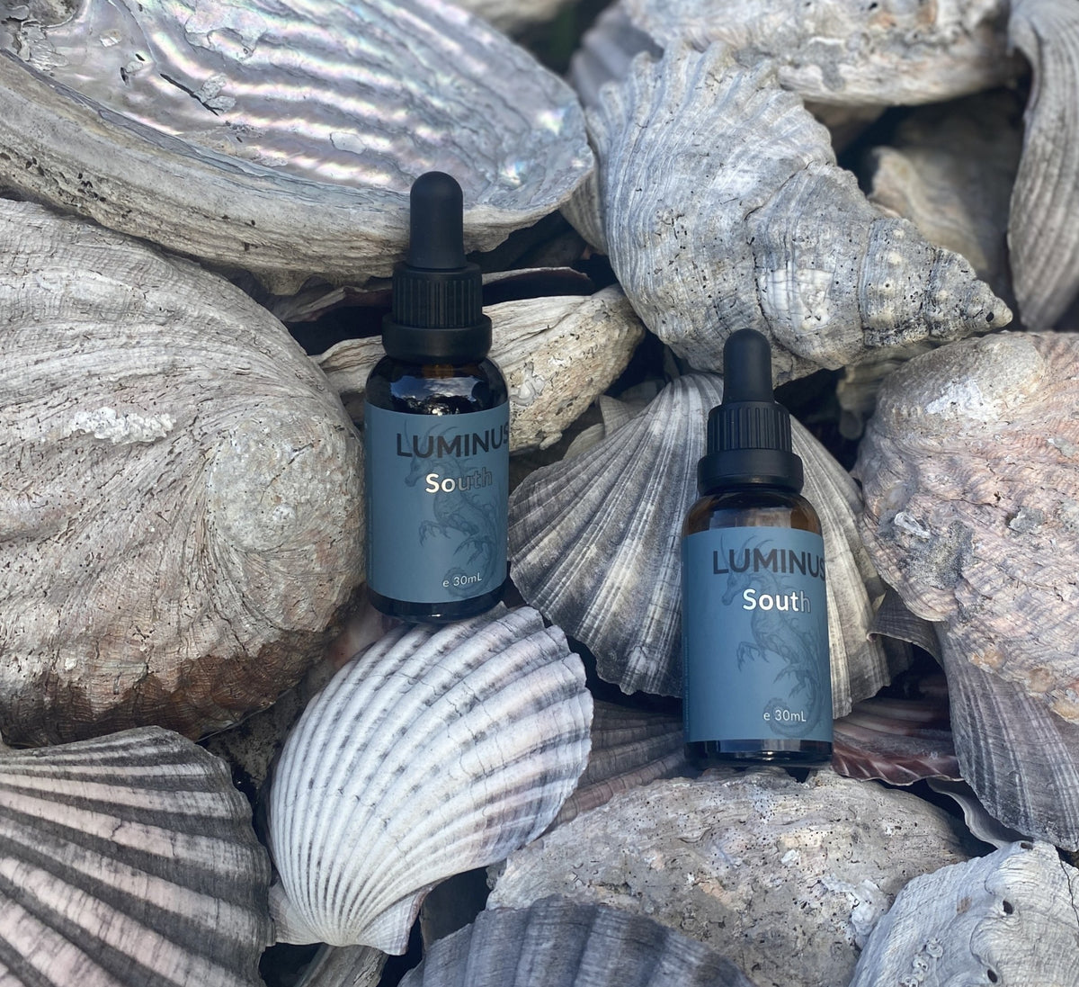 Two amber glass dropper bottles labeled LUMINUS South, placed among stacked natural seashells. The bottles have dark blue-gray labels with white text and black droppers.