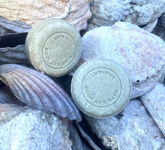 Balance - Black Cumin Seed & Nettle Extract / Oily Scalp & Dry ends
