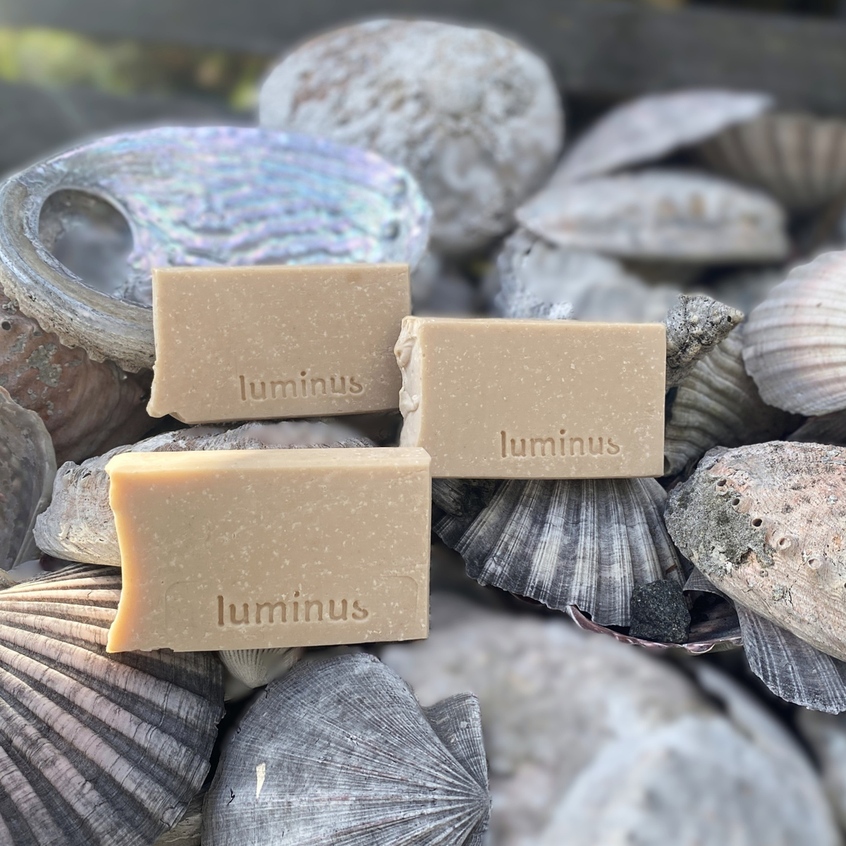 Wildflower - Sel Gris Soap