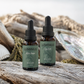 A bottle each of Anchor and Quiet beard oils displayed on driftwood and shells