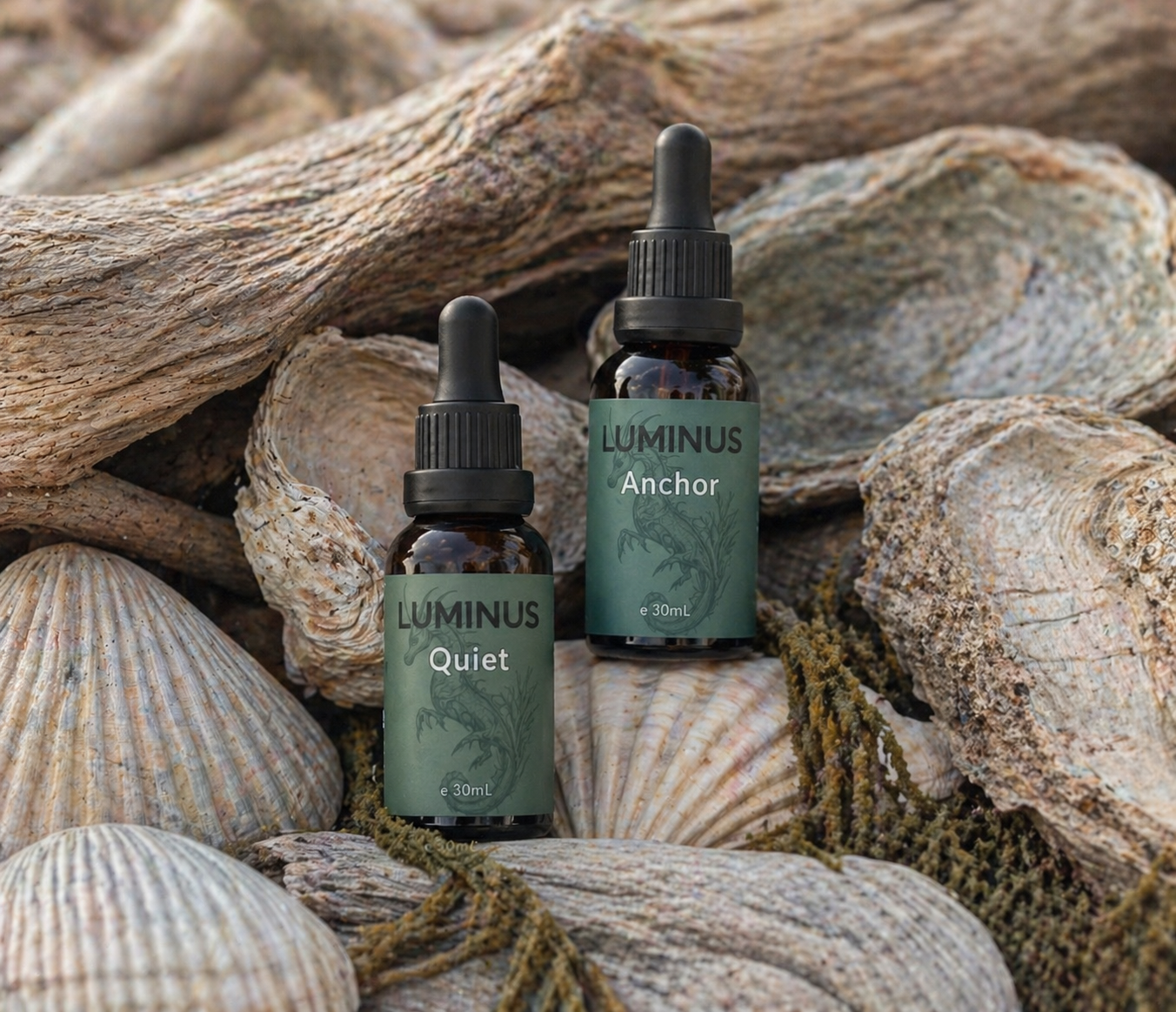 A bottle each of Quiet and Anchor beard oil, displayed on driftwood and shells