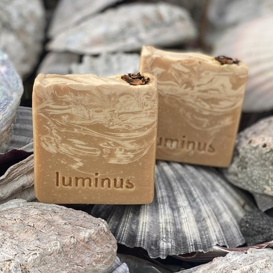 Two rectangular bars of Luminus natural handmade soap with a swirled tan and cream pattern and small dark inclusions, resting on a bed of gray seashells and rocks.